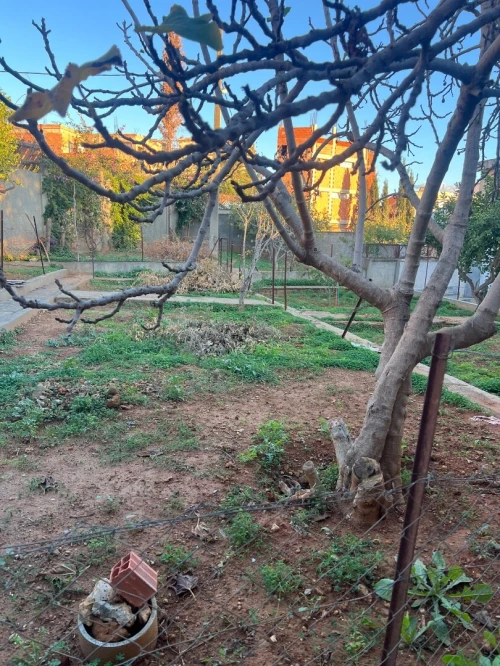 Location Villa Alger Saoula