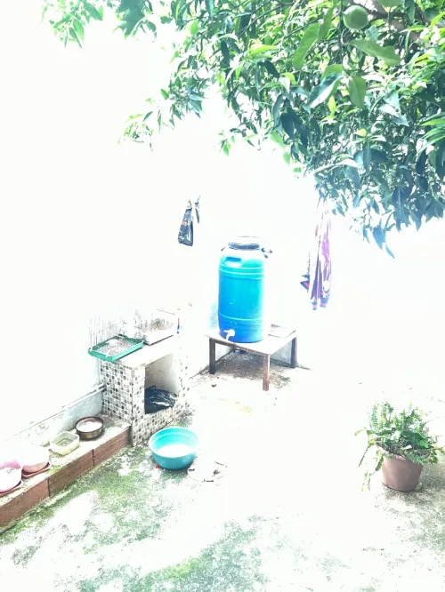 Vente Villa Alger Saoula