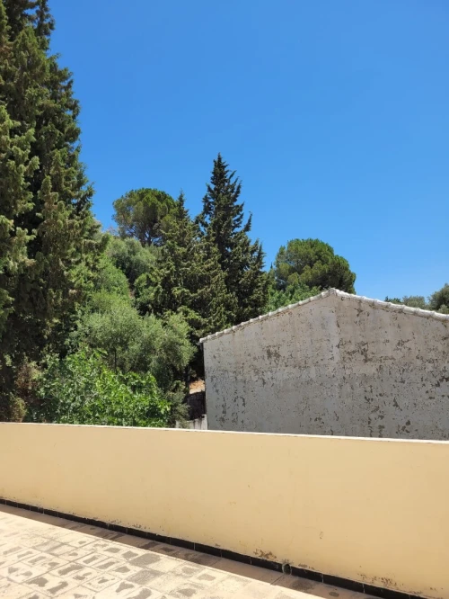 Location vacances Appartement Studio Béjaïa Bejaia