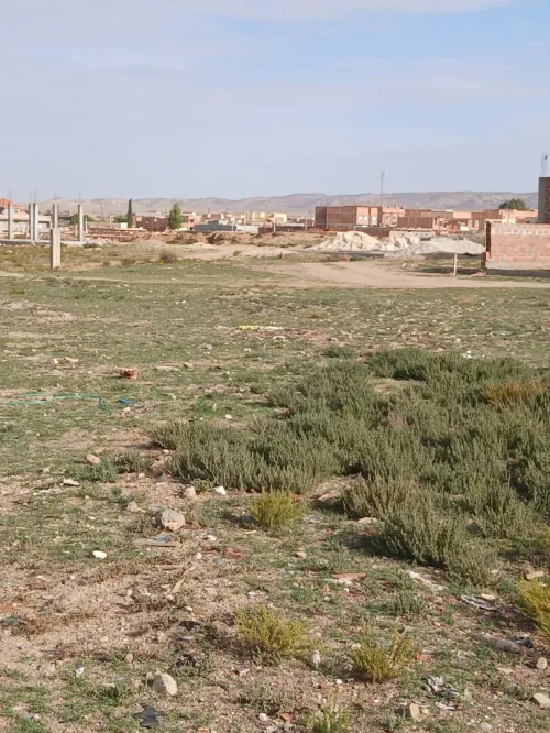 Vente Terrain Tébessa Oum ali