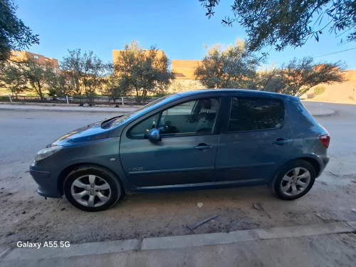 Peugeot 307 2007 307