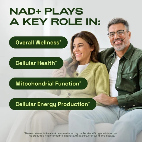 CataKor Liposomal NAD PLUS Resveratrol Alternative NMN Testé 30 jours USA PRODUCT