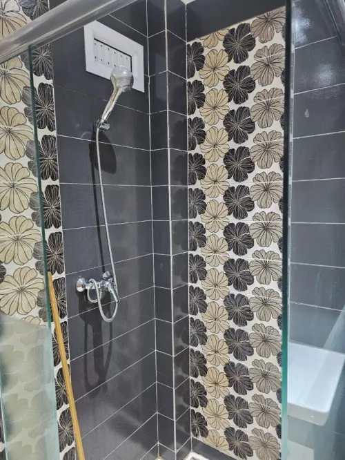 Location Appartement F3 Alger Kouba