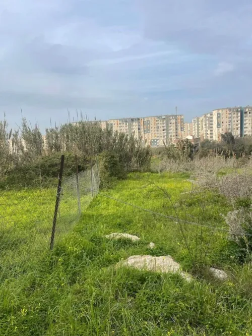 Vente Terrain Alger Ouled fayet
