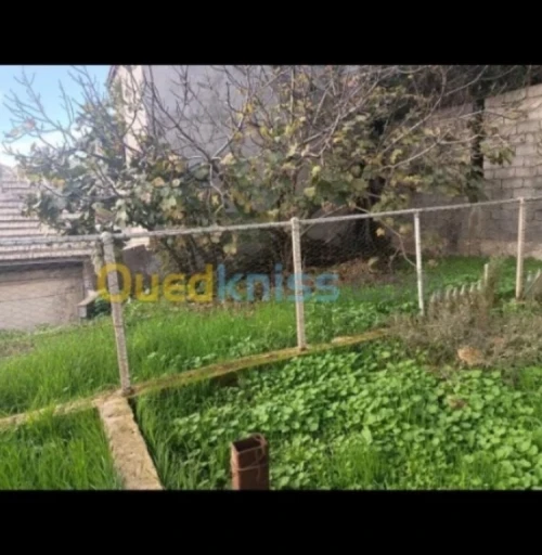 Vente Villa Alger Bir mourad rais 9
