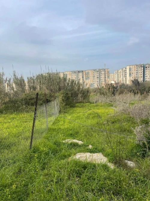 Vente Terrain Alger Ouled fayet
