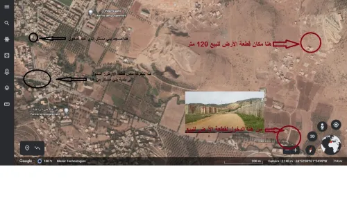 Vente Terrain Tlemcen Beni mester