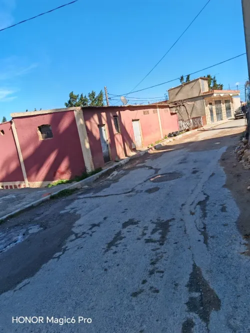 Vente Terrain Tipaza Hadjout