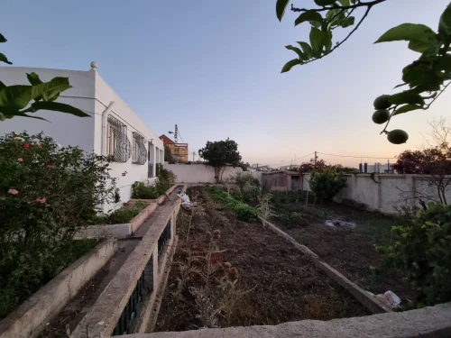 Location Villa Boumerdes Djinet