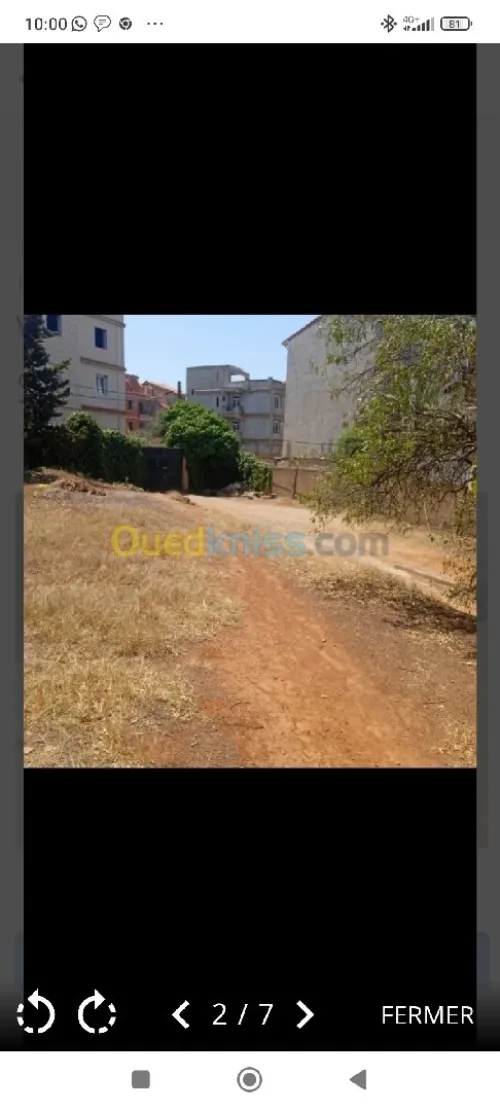 Vente Terrain Alger Saoula