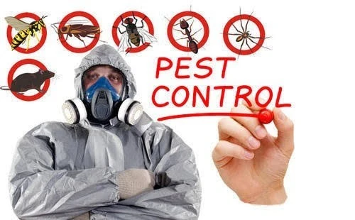 Pest control service