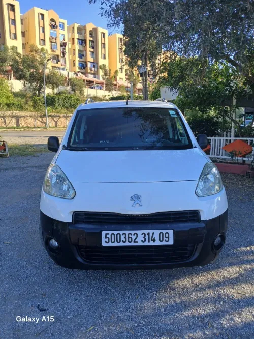 Peugeot Partner 2014 Partner