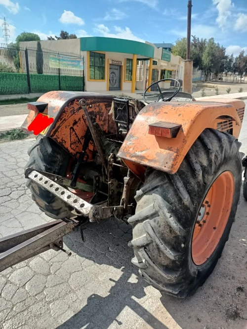 Cirta سيرتا Cirta سيرتا 1982