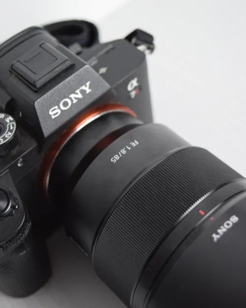 Sony A7R III + Sony 85mm f/1.8