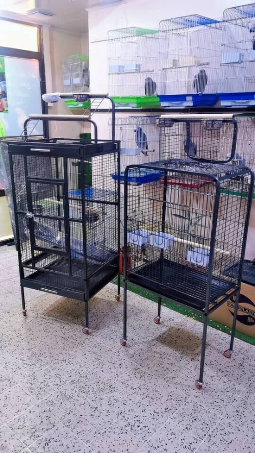 Cage pour perroquet
