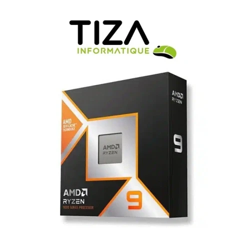 AMD Ryzen 9 9900X3D