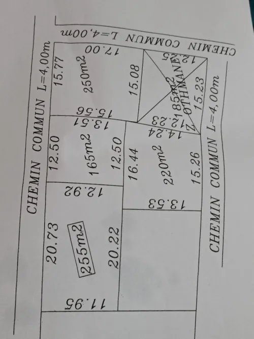 Vente Terrain Alger Saoula