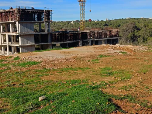 Vente Terrain Alger Tessala el merdja