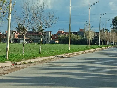Vente Terrain Alger Tessala el merdja