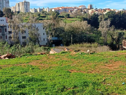 Vente Terrain Alger Draria