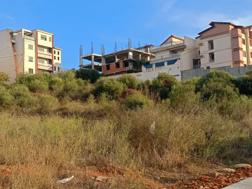 Vente Terrain Alger Draria