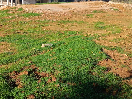 Vente Terrain Alger Draria 2