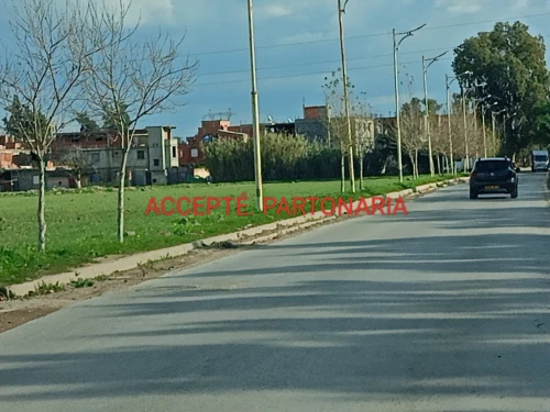 Vente Terrain Alger Draria 6