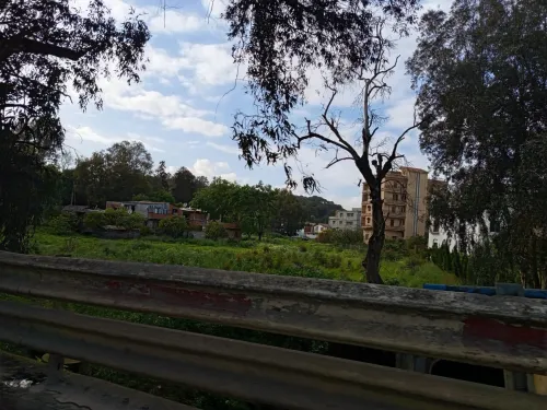 Vente Terrain Alger Draria