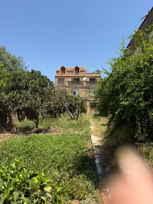 Vente Villa Alger Birtouta