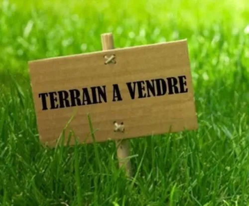 Vente Terrain Alger Belouizdad