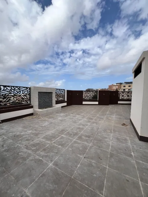 Vente Appartement Penthouse F5 Alger Dely brahim
