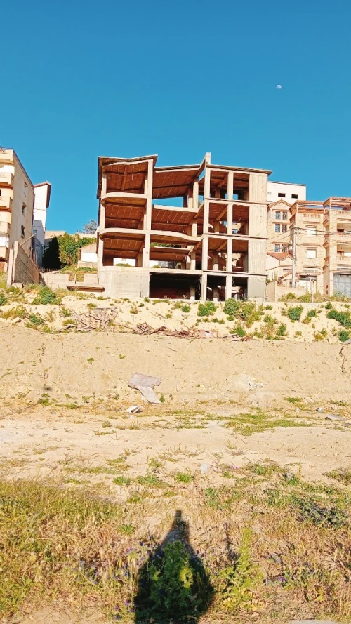 Vente Carcasse Alger Mahelma