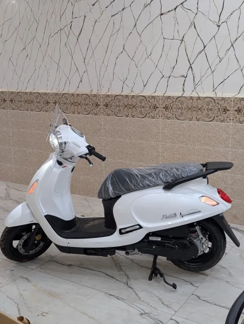 Sym Fiddel 4 2026