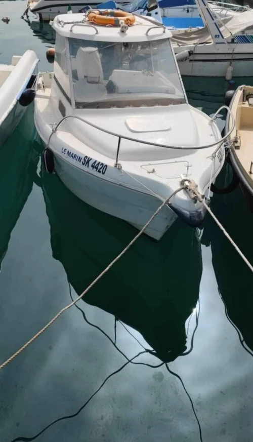 Timonier Quicksilver spectrum 460