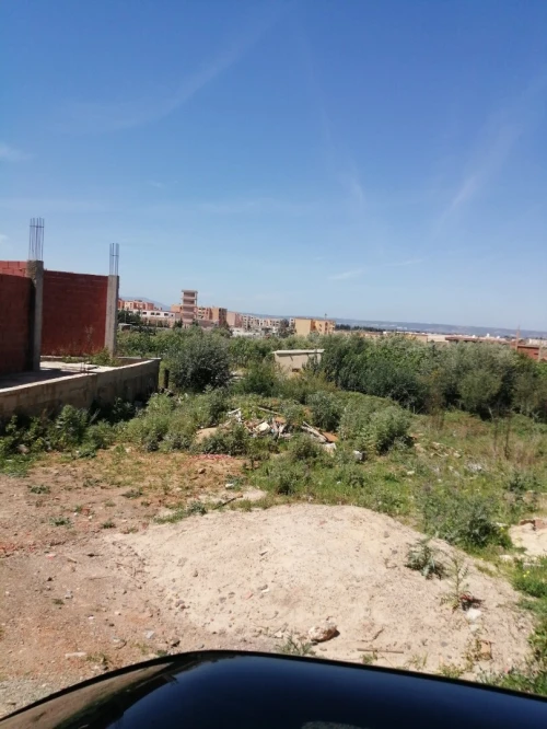Vente Terrain Blida Bouarfa