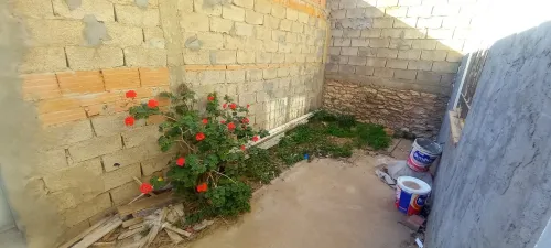 Vente Villa Aïn Témouchent Hassi el ghella