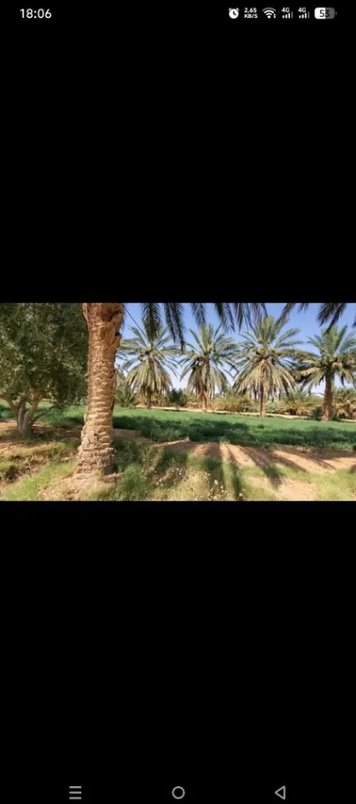 Vente Terrain Agricole Biskra Sidi okba