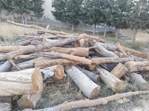 خشب ونجارة الخشب