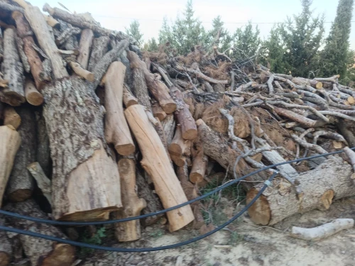 خشب ونجارة الخشب