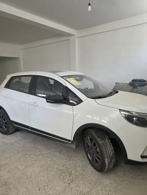 Livan Gx3 2025 R line