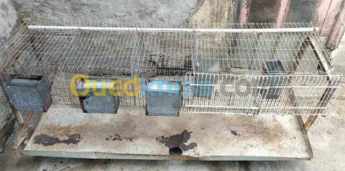 cage lapin