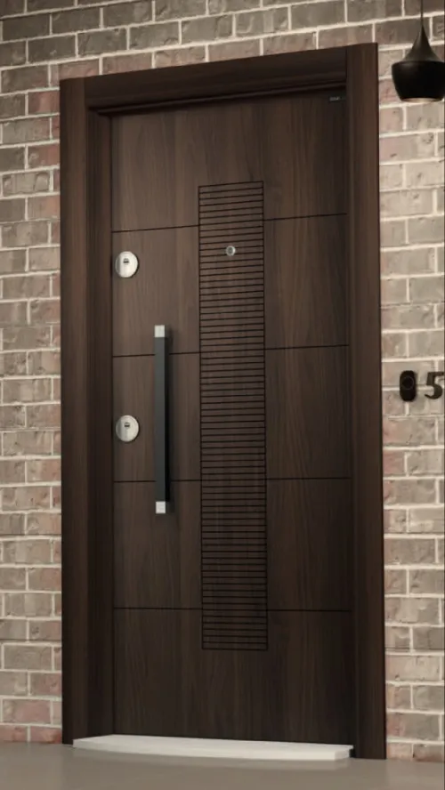 Porte d'entrée style moderne 