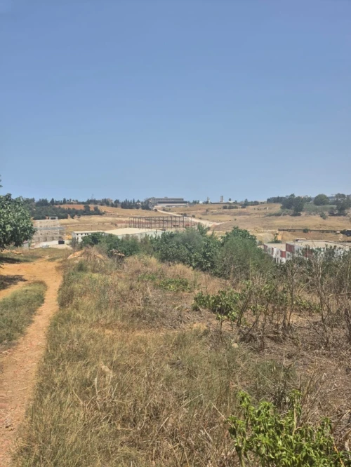 Vente Terrain Alger Zeralda