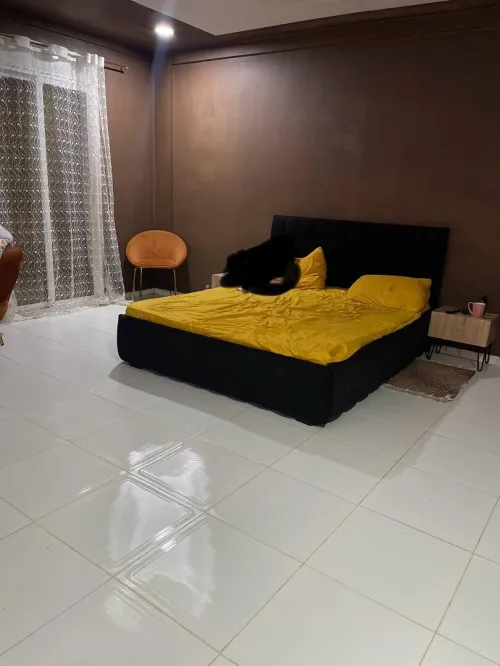 Vente Appartement F4 Alger Zeralda