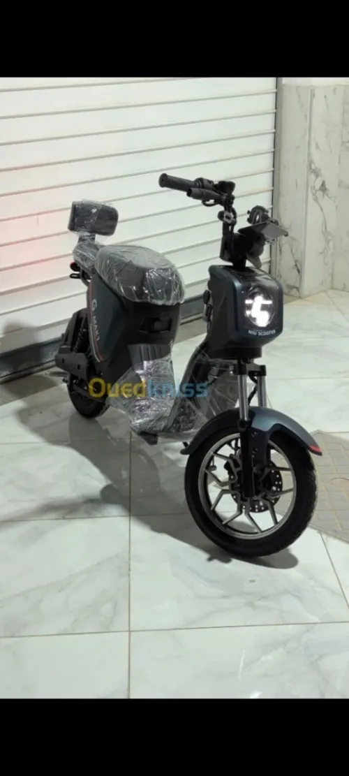 Niu Gmax 2025
