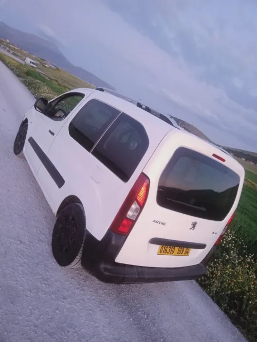 Peugeot Partner 2009 Tepee
