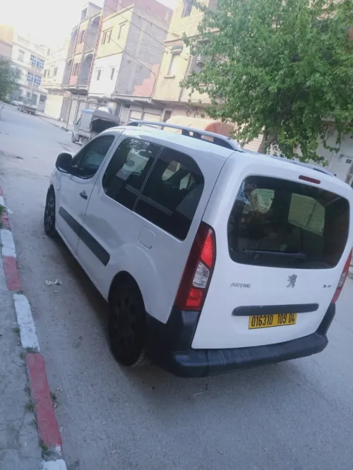 Peugeot Partner 2009 Tepee
