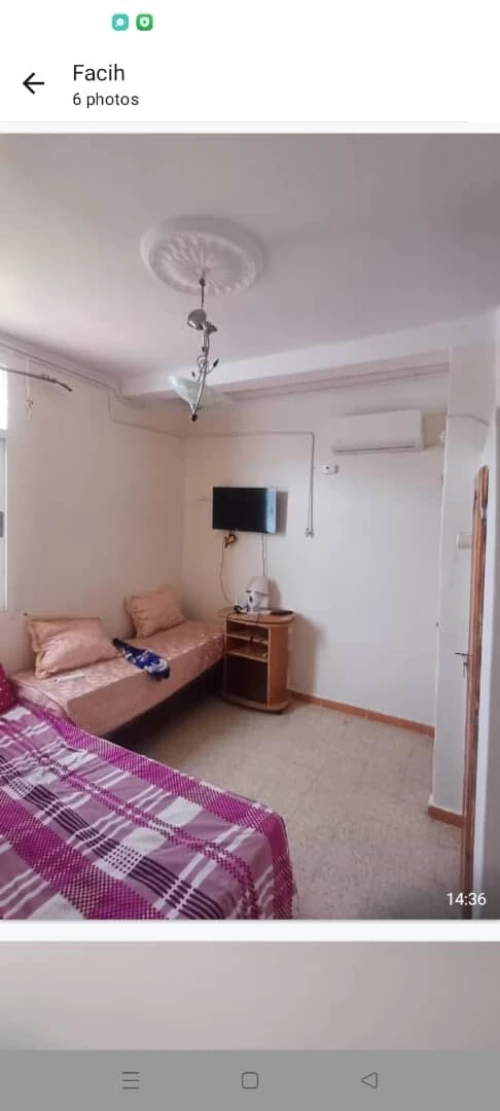 Location Appartement Studio Skikda Collo
