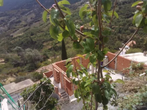 Vente Villa Sétif Harbil