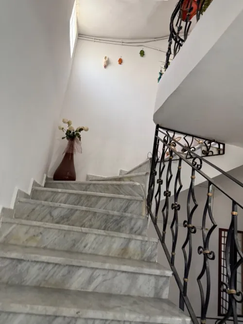 Location Appartement Alger El biar